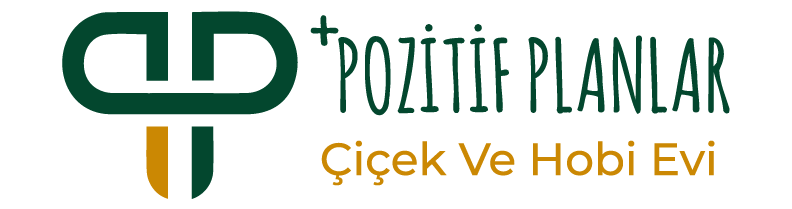 pozitif-planlar-çiçekevi