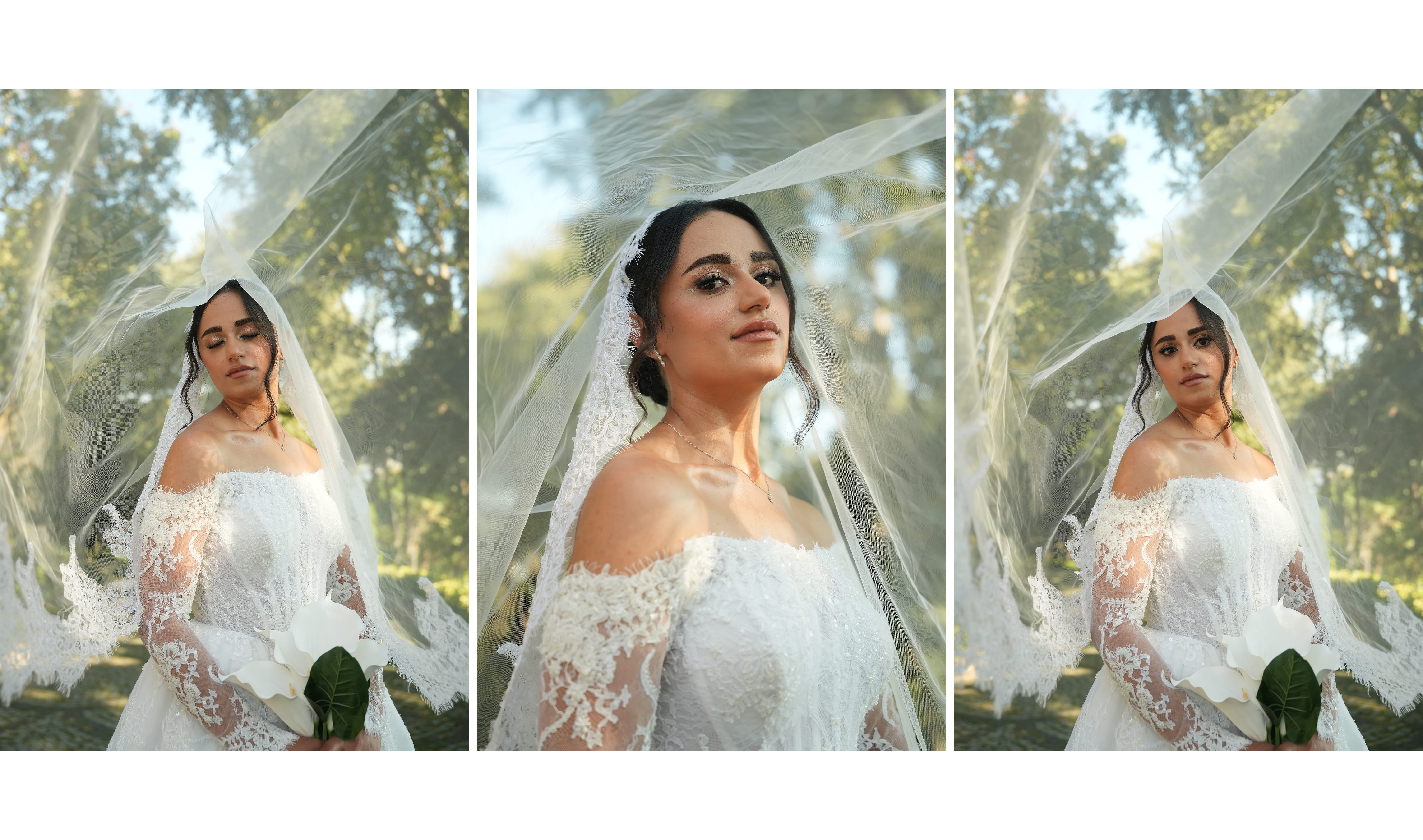 My New Project_10 (1)